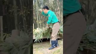 늘 따듯하시고 마음편해지는 존경하는강바오님 #shorts