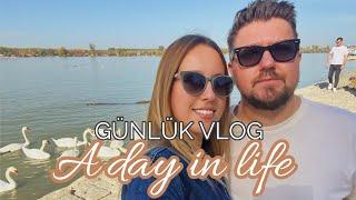 Serbia Vlog: A Day In Life - Günlük Vlog- Sunday Walk To Zemun ️