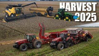Harvest 2025 in New Zealand