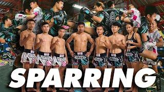 Random Challengers vs. Muay Thai Champs: Yokkao Sparring Showdown!