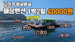 1박 4만원에 가능하다니 심지어 3인이상은 3만원ㅣ고기 막 나오는 좌대