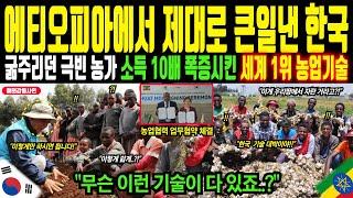 "에티오피아 극빈 농가 소득 10배 폭증시킨 한국 농업기술" 메마른 땅을 푸른 채소밭으로 바꾼 세계 1위 농업기술의 위력! 이제는 한국어까지 배우는 에티오피아인들ㅣ해외감동사연