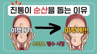 (초산모 시리즈) 출산 때 배 아픈 느낌, 이런거였음?;;