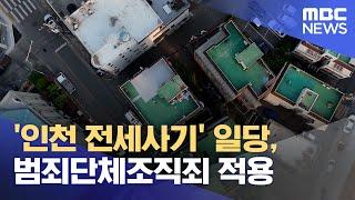 '인천 전세사기' 일당, 범죄단체조직죄 적용 (2023.05.10/12MBC뉴스)