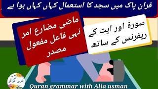 How to conjugate verb| سجد تصريف |How to learn arabic grammar for beginners