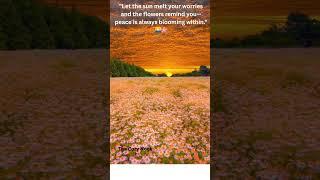 Watch This When You Need Peace  | Relaxing Sunset & Flower Field #calm #nature #sunsetlover