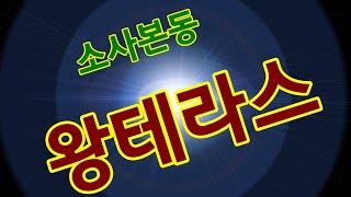 소사본동 신축빌라 큰 왕테라스세대 소사역5분,소새울역 3분