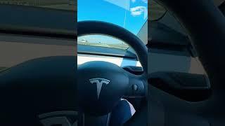 На Тесле по Морю Владивосток #music Тесла #тесла #automobile #электромобиль #tesla