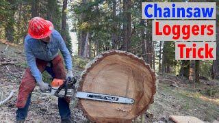 How Loggers Buck Large Logs Square & Flush