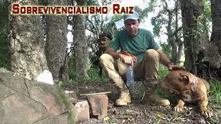 Bushcraft Hiking and Barbecuing - T2024-E01