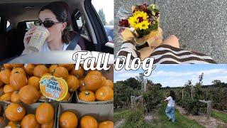 FALL VLOG: getting my haircut, apple picking, new fav fall drink, hauls & more