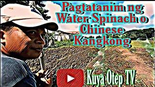 Magtatanim kami ng Chinese Kangkong (Water Spinach)/ Kuya Otep TV