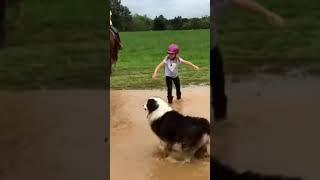 Watch Pony Dunk Little Girl Rider Into Mud and Roll Around