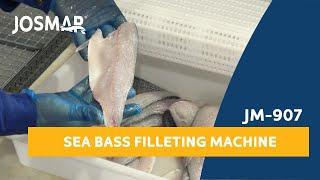 JOSMAR: JM 907 Sea bass heading, gutting & Filleting Machine | Procesado de lubina