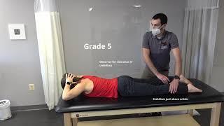 Manual Muscle Test Trunk Extension