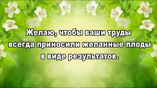  Видео поздравления от всей души  С Первомаем, с Днем труда