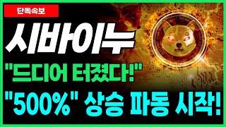 [시바이누 코인 전망] 드디어 터졌다! '밈코인' 1대장, "500%" 상승 파동 먹는 방법! 필수시청!