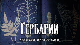 Гербарий | Сборник страшных историй (баек)