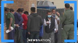 NGOs use American tax dollars to relocate migrants | Morning in America