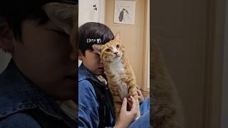 치즈표정: 엄마만 가 #고양이 #고양이애교 #개냥이