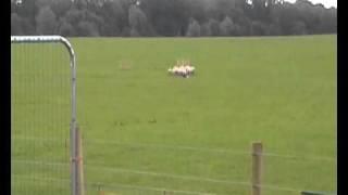 TOM LAWRENSON'S SPOT.wmv