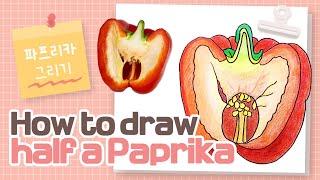 How to Draw Half a Paprika [Soojbear]