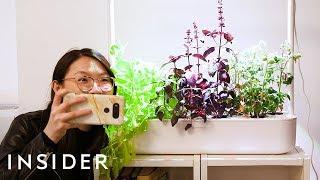 Smart Garden Grows Food Indoors With Little Effort