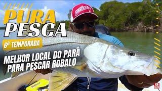 PROGRAMA PURA PESCA - ROBALOS NO MELHOR LOCAL DO PARÁ