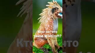 WildCraft : что такое WildCraft: моя идея