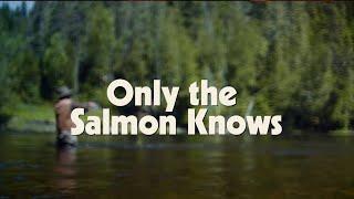 Only The Salmon Knows - 2024 Fly Fishing Film Tour - Audience Award