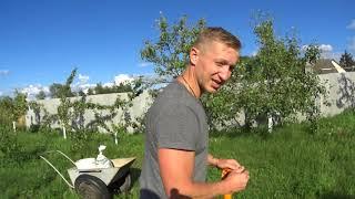 ПРИБАВЛЕНИЕ В ОГОРОДЕ