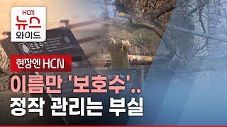 [현장엔 HCN] 이름만 '보호수'..정작 관리는 부실/HCN금호방송