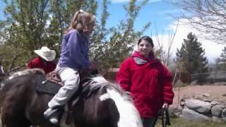 Ponies Gizmo and Gadget are fun at Birthday Parties