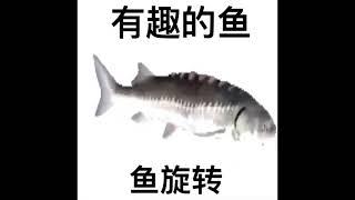 spinning chinese fish