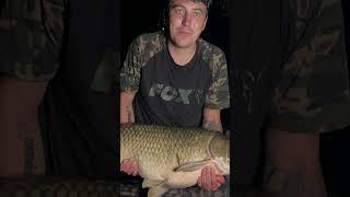 Kolja fishing #carpfishinglife #sorts #fishing #sort #carplife #fishingvideo