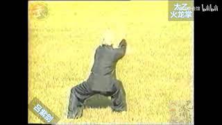 巴渝武術典藏（三）八卦門太乙火龍掌-呂紫劍 #martialarts #kungfu