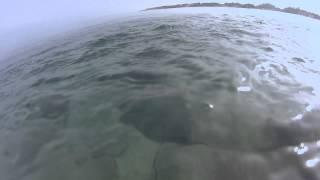 SPEARFISHING Mugil  go pro     צלילה חופשית בורים ישראל