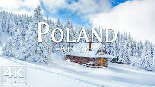 Winter Poland 4K - Captivating Winter Beauty of Tatra Mountains and Bialowieza Forest, Calming Music