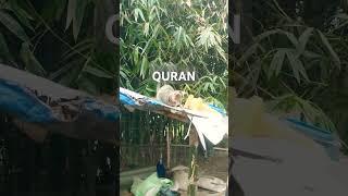 Surah Al Quran Islamic video