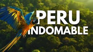 PERÚ - GUARDIANES DE LOS ANDES Y DE LA SELVA | Documental Completo