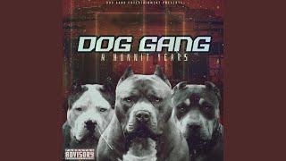 Belt 2 A$$ (feat. DogGang Bam, DogGang Cory & Rae Luvv)