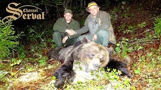 Hunting brown bear in Croatia, Braunbärjagd in Kroatien