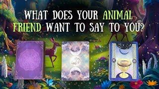 Pick a Card  Your Pet Has a Special Message for You!  (Past or Present)