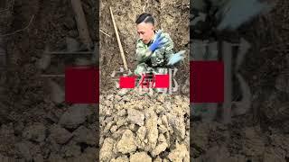 "锄头一响 黄金万两！贵州深山野人式挖山药实录！这波操作配上BGM直接血脉觉醒！#我的乡村生活 #三农 #抖音助农 #野生山药 #原创 DOU+小助手