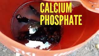 ORGANIC FARMING: Teaching how to prepare Calcium Phosphate