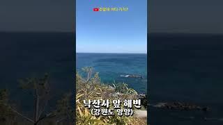 낙산사에서 바라본 낙산해변