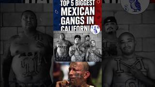 Top 5 Most Dangerous Mexican Gangs in California  | Chicano Street Culture EXPOSED” #hood #cali