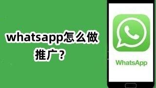 whatsapp怎么做推广？#whatsapp推广#WhatsApp精准引流#WhatsApp推广策略