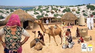 Thar Desert Woman Village Life Pakistan near Rann of Kutch | Traditional Life | Stunning Pakistan