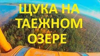 Рыбалка на таежном озере